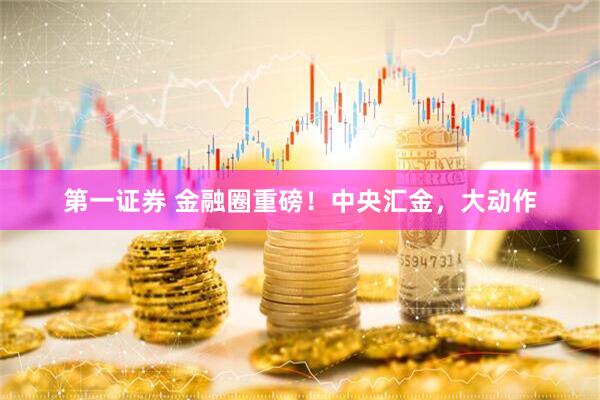 第一证券 金融圈重磅！中央汇金，大动作
