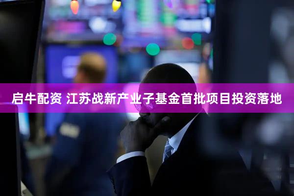 启牛配资 江苏战新产业子基金首批项目投资落地