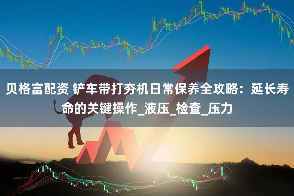 贝格富配资 铲车带打夯机日常保养全攻略：延长寿命的关键操作_液压_检查_压力
