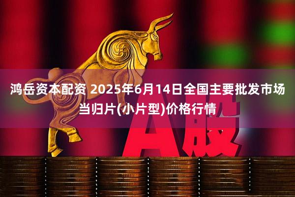 鸿岳资本配资 2025年6月14日全国主要批发市场当归片(小片型)价格行情