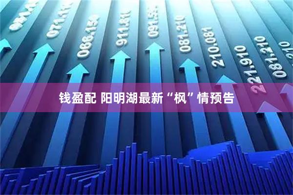 钱盈配 阳明湖最新“枫”情预告