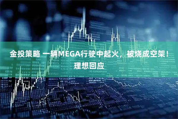 金投策略 一辆MEGA行驶中起火,被烧成空架!理想回应